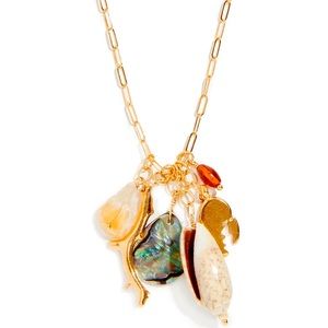 Chan Luu Abalone Shell mix charm necklace
